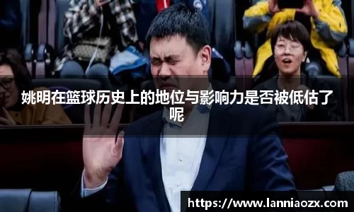 姚明在篮球历史上的地位与影响力是否被低估了呢