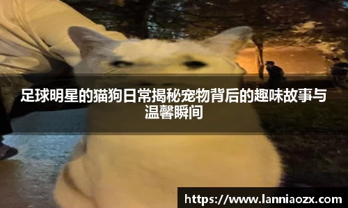 足球明星的猫狗日常揭秘宠物背后的趣味故事与温馨瞬间